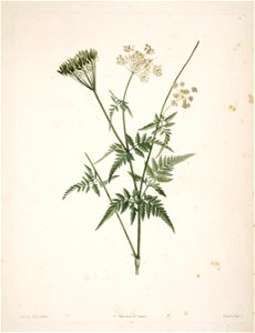 n161_w1150