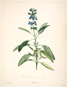 n152_w1150