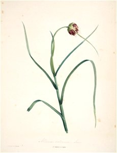 n137_w1150