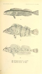 n848_w1150