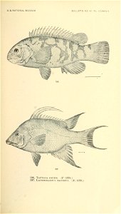 n758_w1150