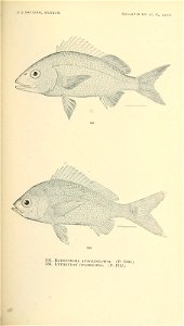 n698_w1150