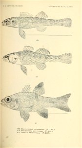 n638_w1150