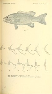 n608_w1150