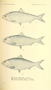n428_w1150