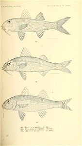 n548_w1150