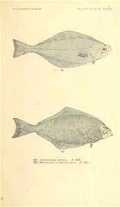 n1026_w1150