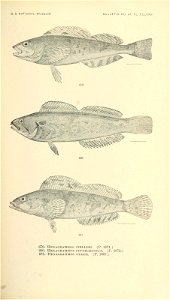 n846_w1150