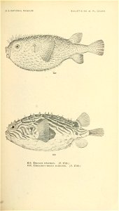 n816_w1150