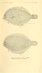 n1054_w1150