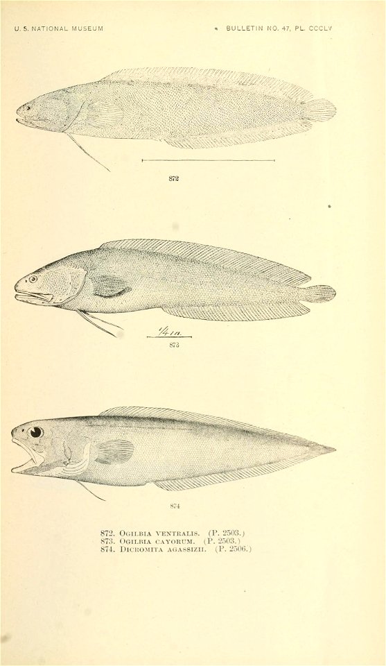 n994_w1150