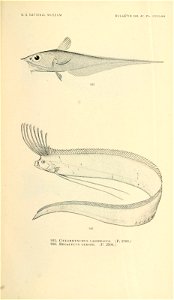 n1024_w1150