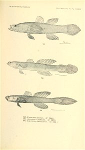 n934_w1150