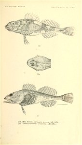 n874_w1150