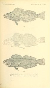 n844_w1150