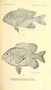 n754_w1150