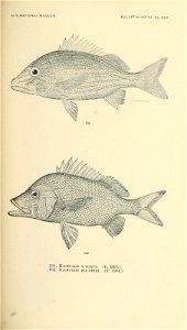 n694_w1150