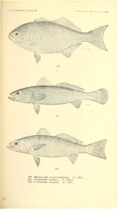 n724_w1150
