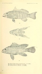 n664_w1150