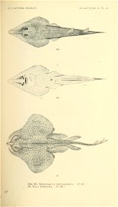 n302_w1150