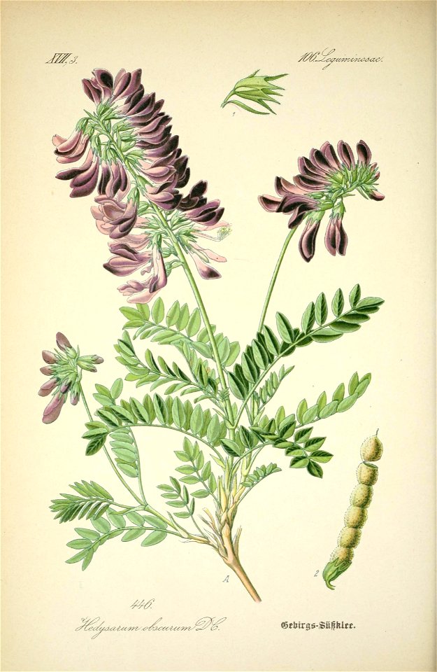 n595_w1150