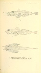 n928_w1150