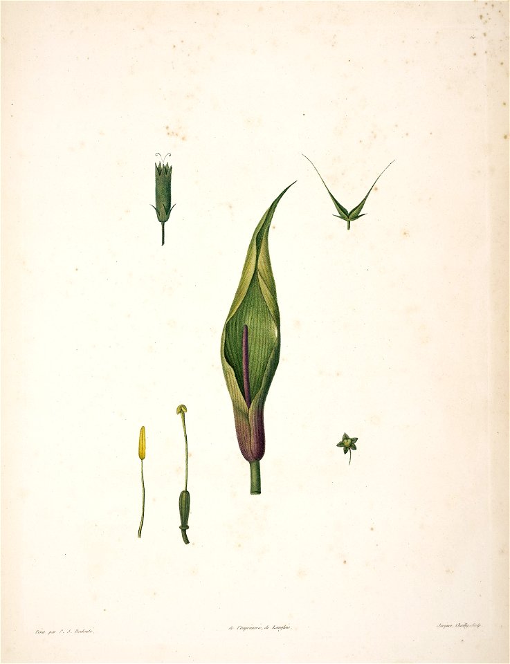 n190_w1150