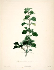 n153_w1150