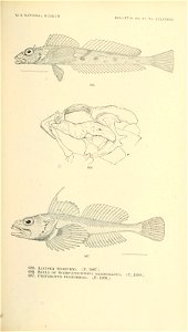 n850_w1150