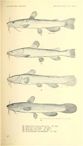 n338_w1150
