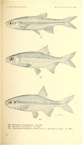 n368_w1150