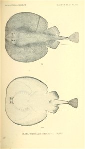 n308_w1150