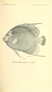 n786_w1150