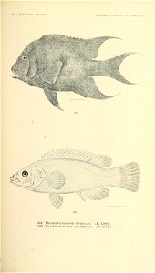 n756_w1150