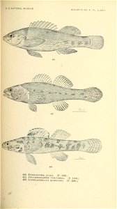 n636_w1150