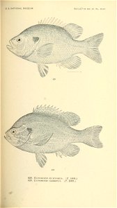 n606_w1150