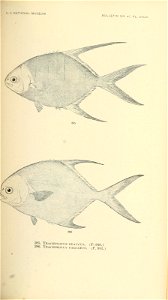 n576_w1150