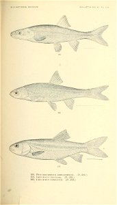 n366_w1150