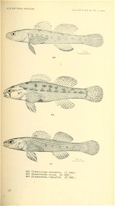 n634_w1150