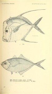 n574_w1150