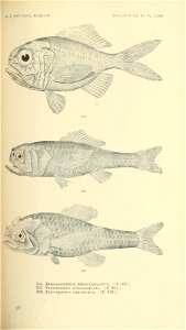 n544_w1150