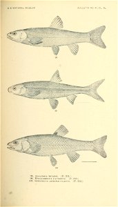 n364_w1150