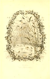 n157_w1150