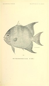 n778_w1150