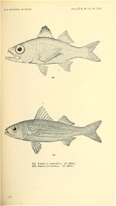 n688_w1150
