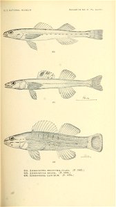 n628_w1150