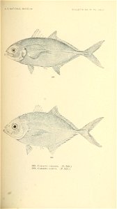 n568_w1150