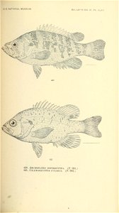 n598_w1150