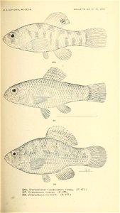 n508_w1150