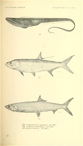 n418_w1150